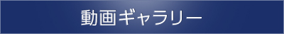 動画ギャラリー